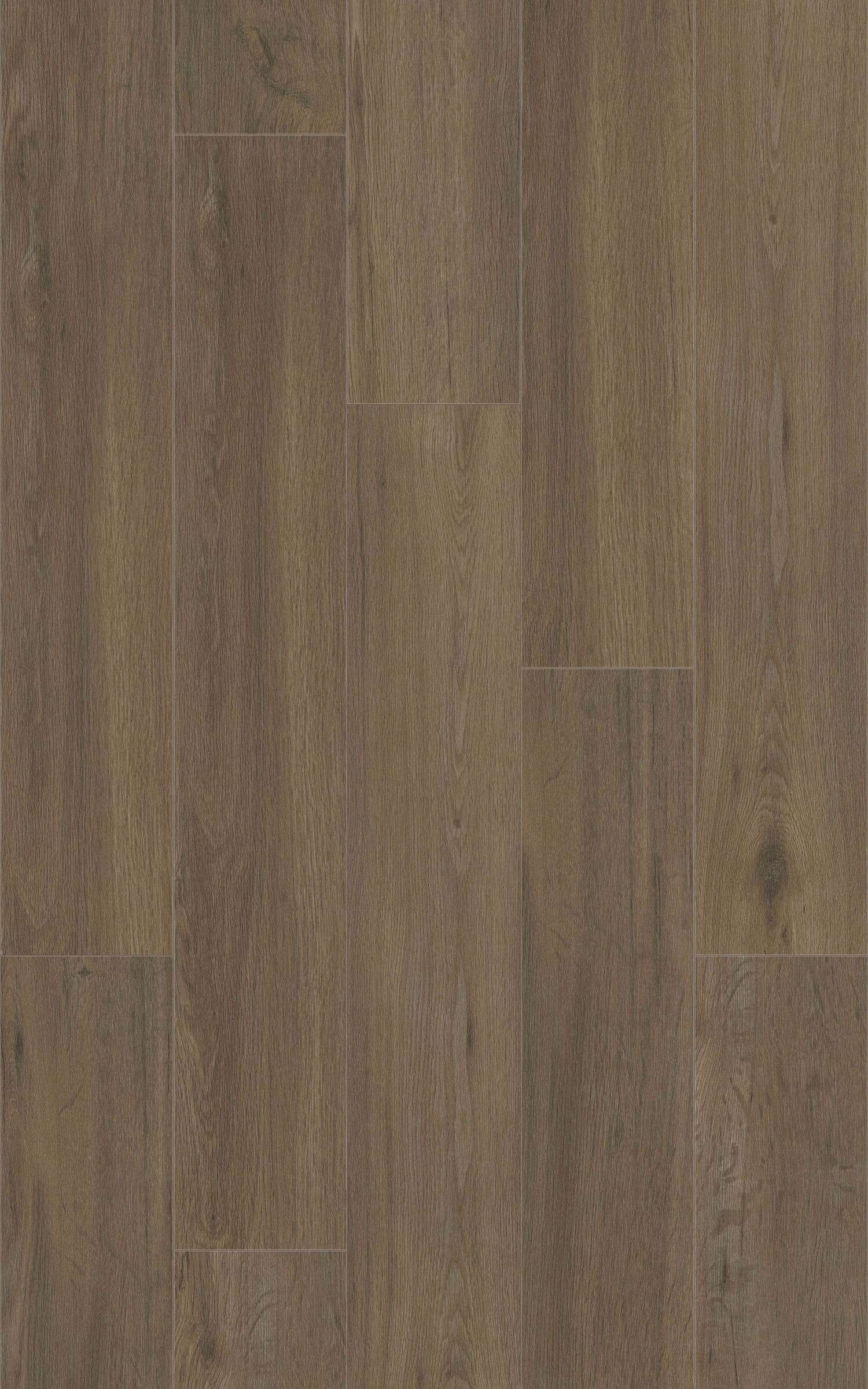 LATTE 31.TM.50.0352.05