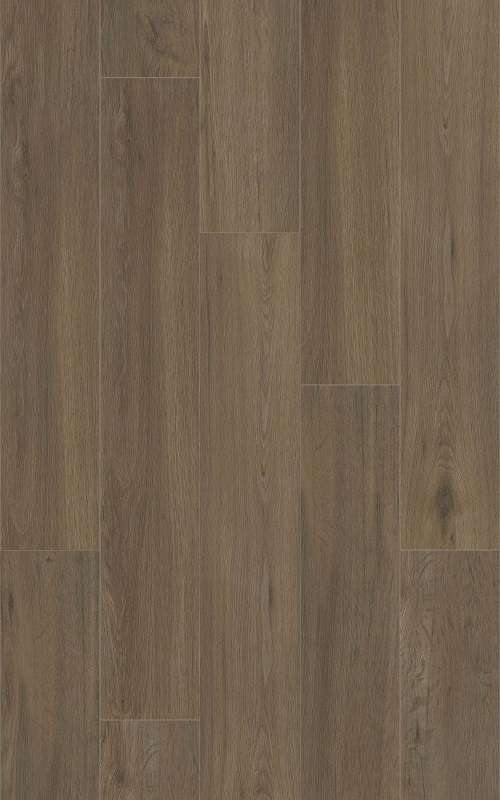 LATTE 31.TM.50.0352.05