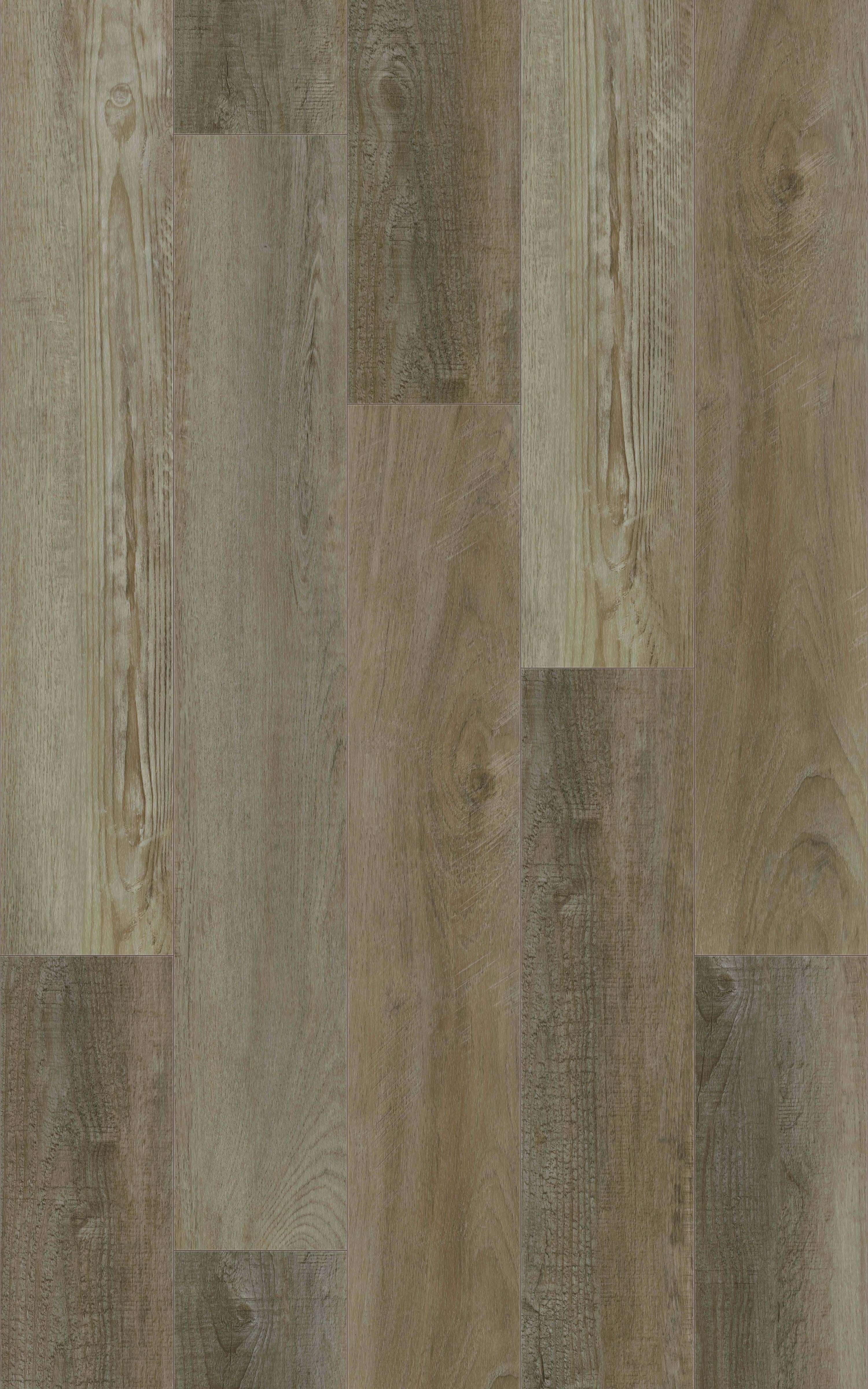 ASH - 31.TM.50.0356.09