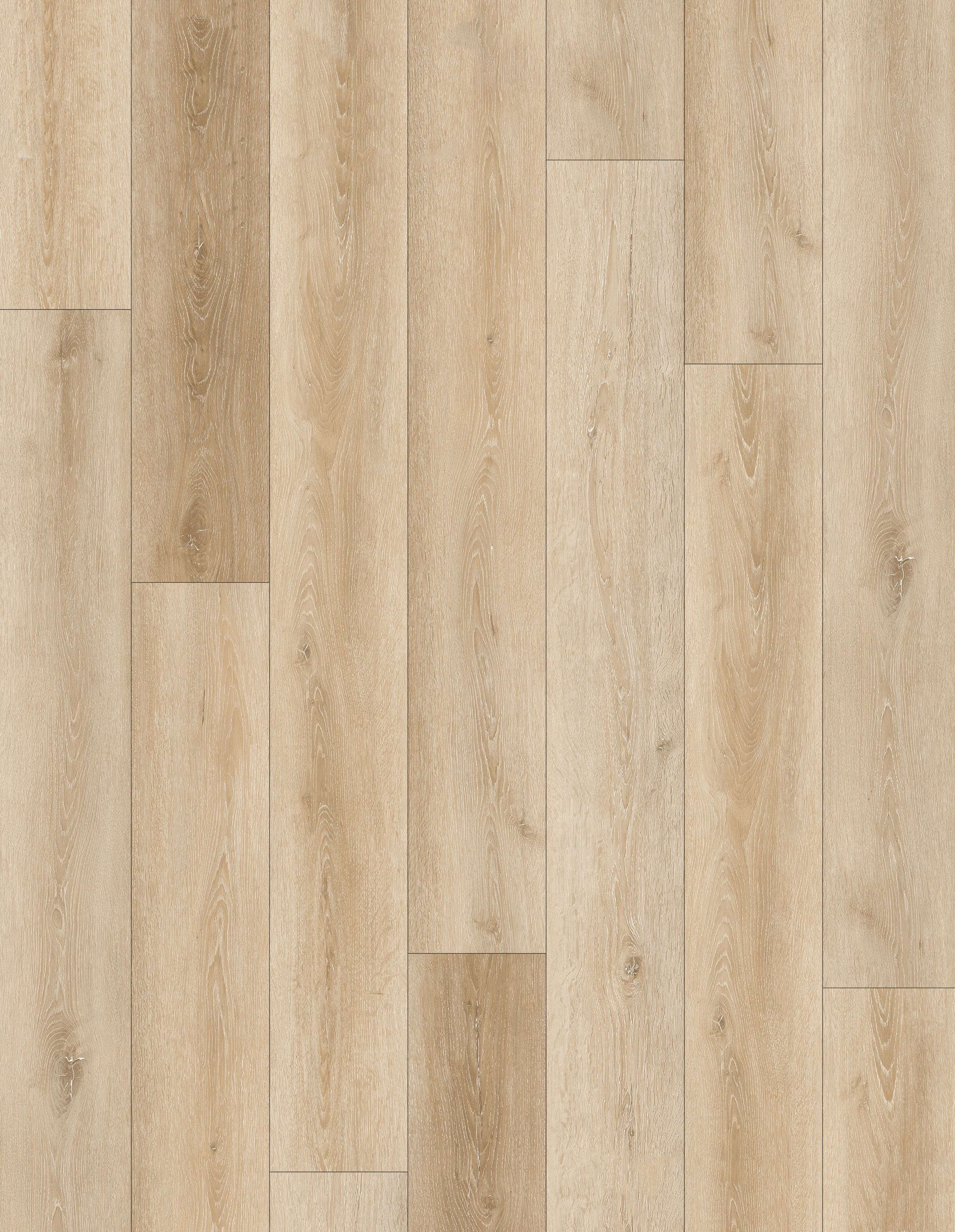 DECK BRIGHT - 31.TM.50.0078.25