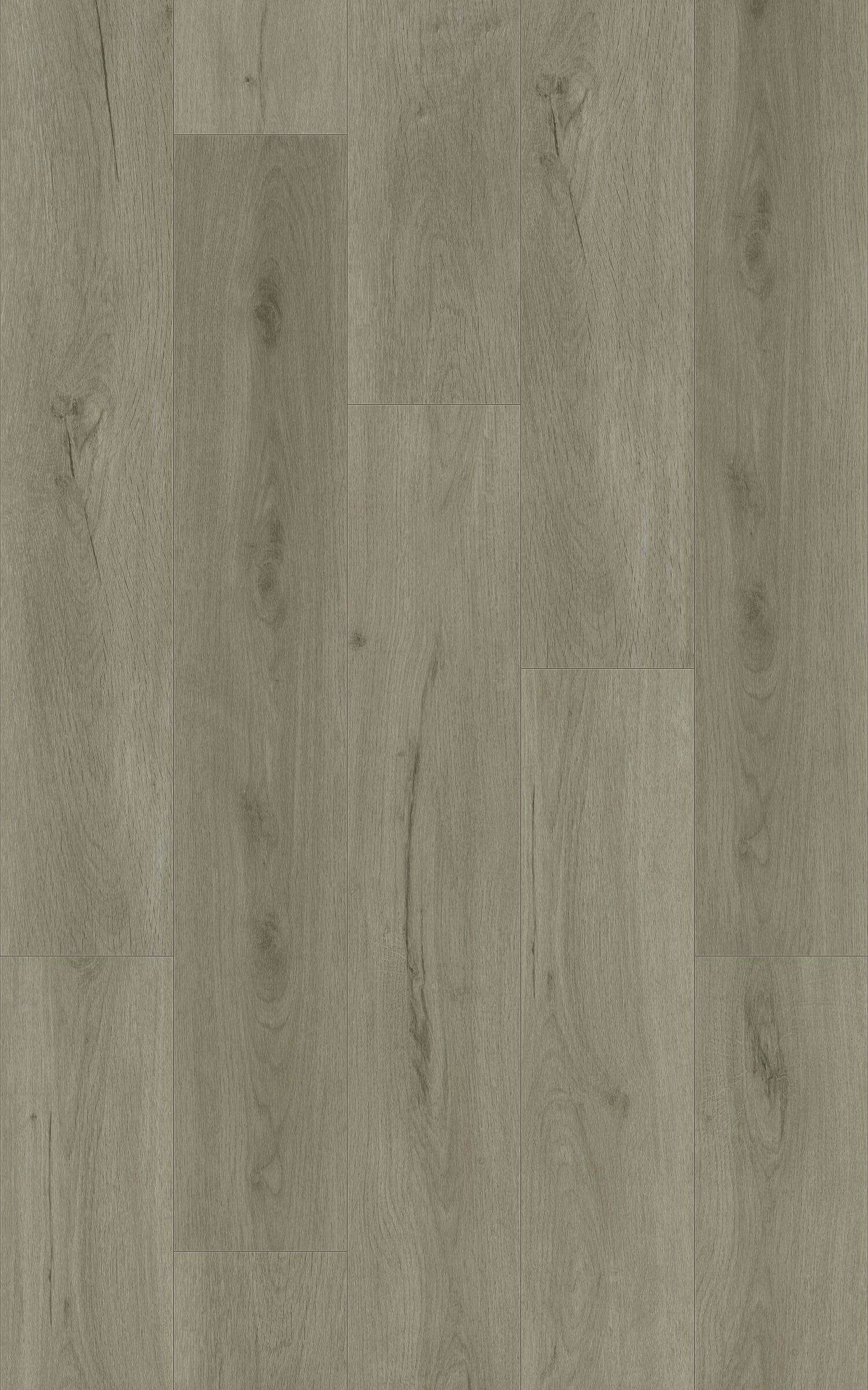 FOG - 31.TM.50.0354.09