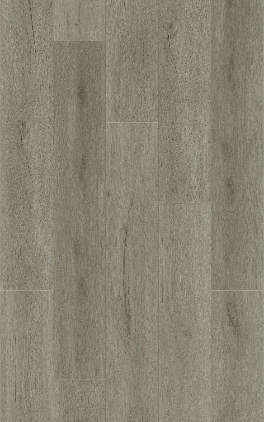 FOG - 31.TM.60.0354.10