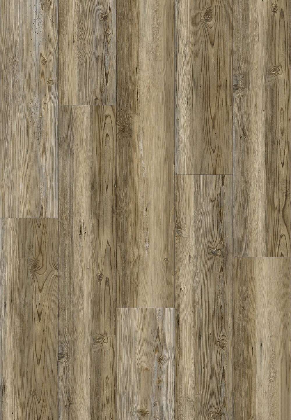 HICKMAN COAST - 31.TM.50.0536.03