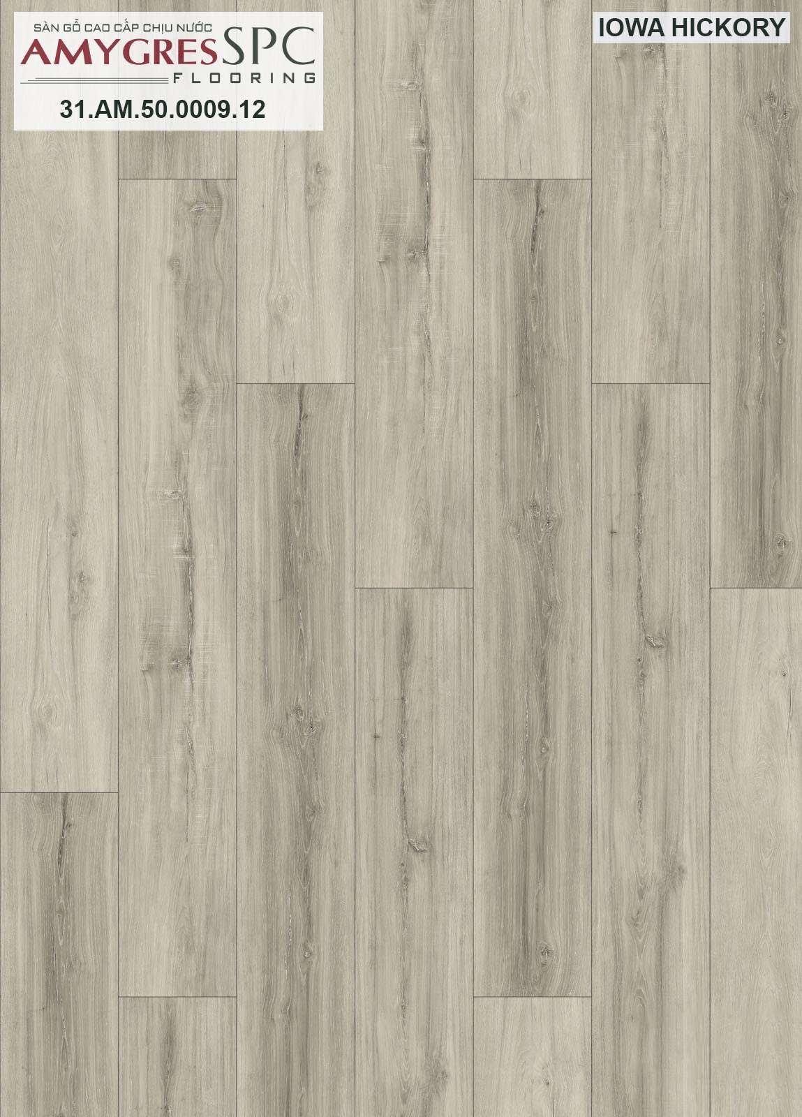 IOWA HICKORY - 31.TM.50.0009.44