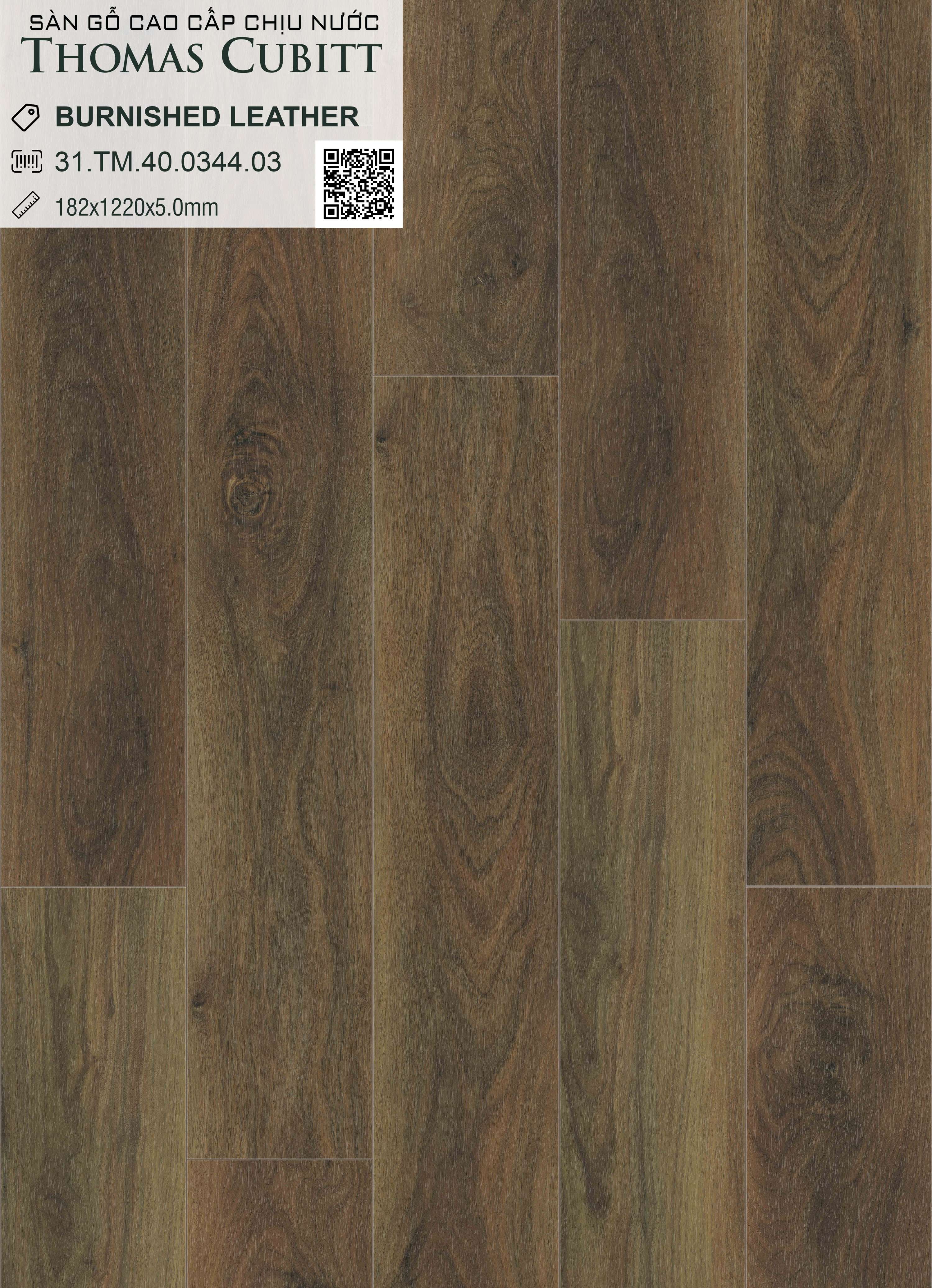 BURNISHED LEATHER 31.TM.40.0344.03