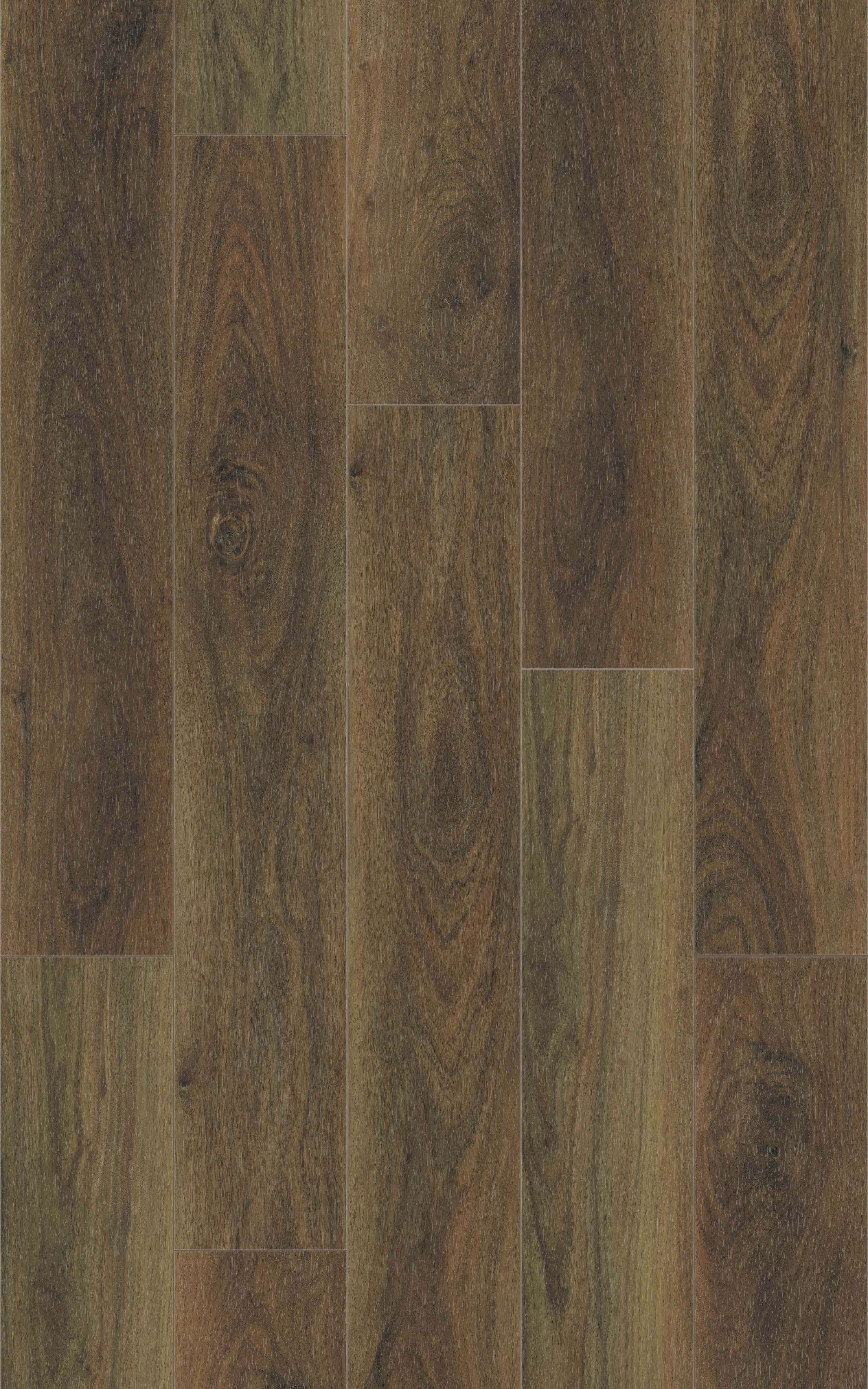 BURNISHED LEATHER 31.TM.40.0344.03