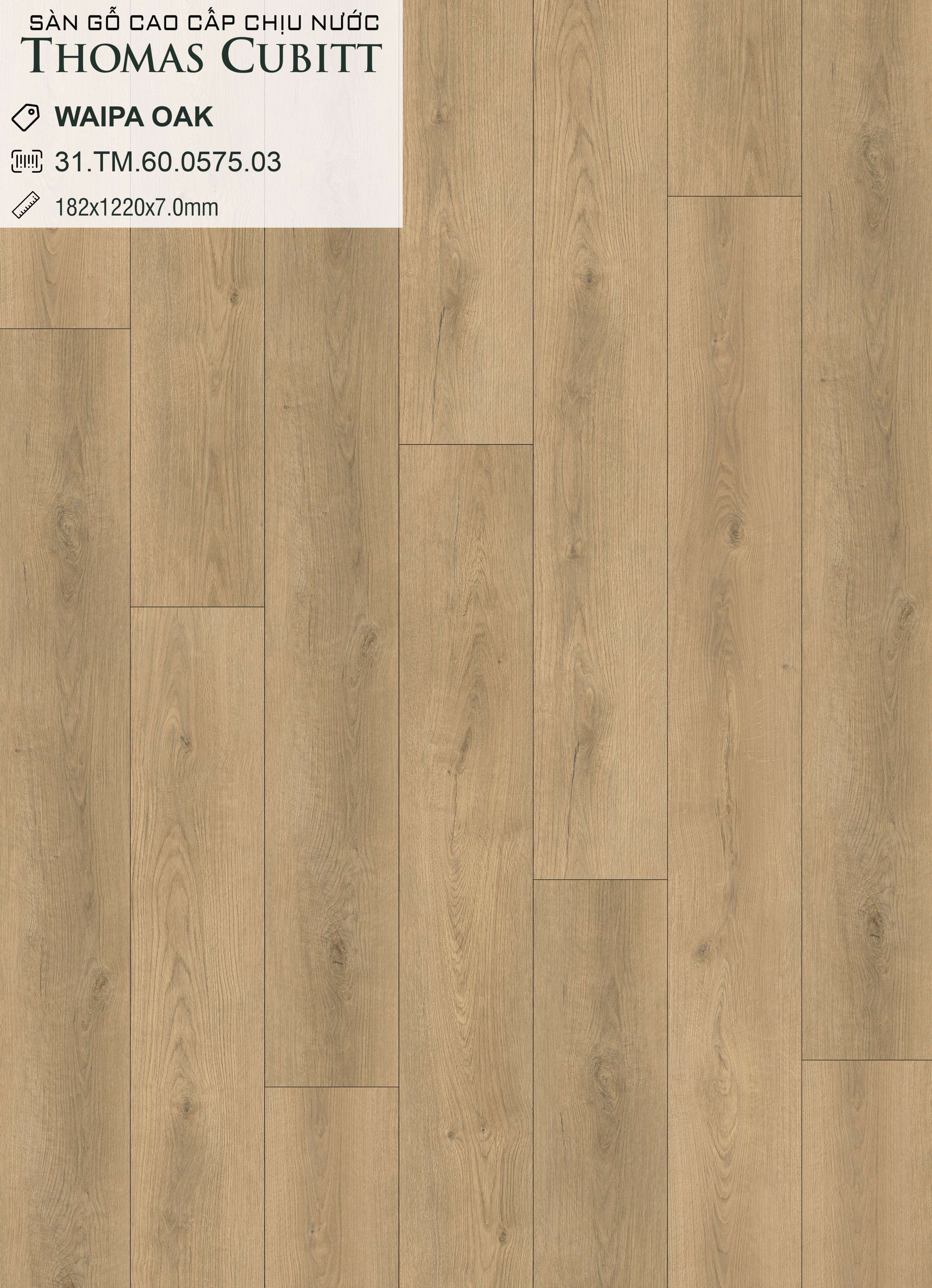 WAIPA OAK 31.TM.60.0575.03 WAIPA OAK 31.TM.60.0575.03