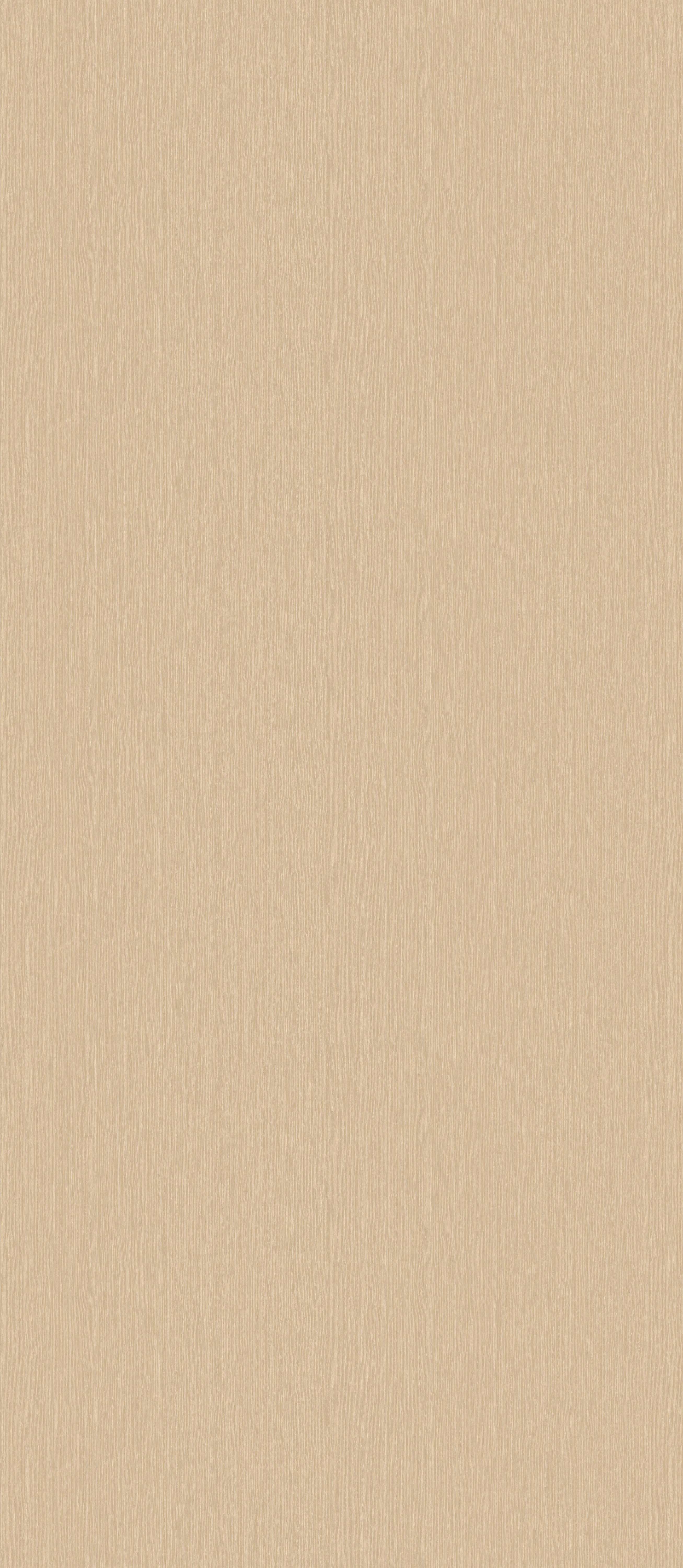 Aspen Bone - 32W.BN.120.0022.01
