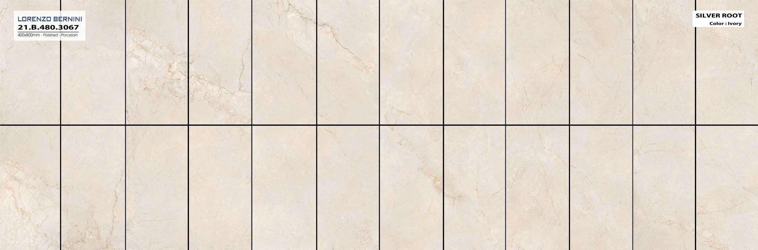 Silver Root 21.B.480.3067