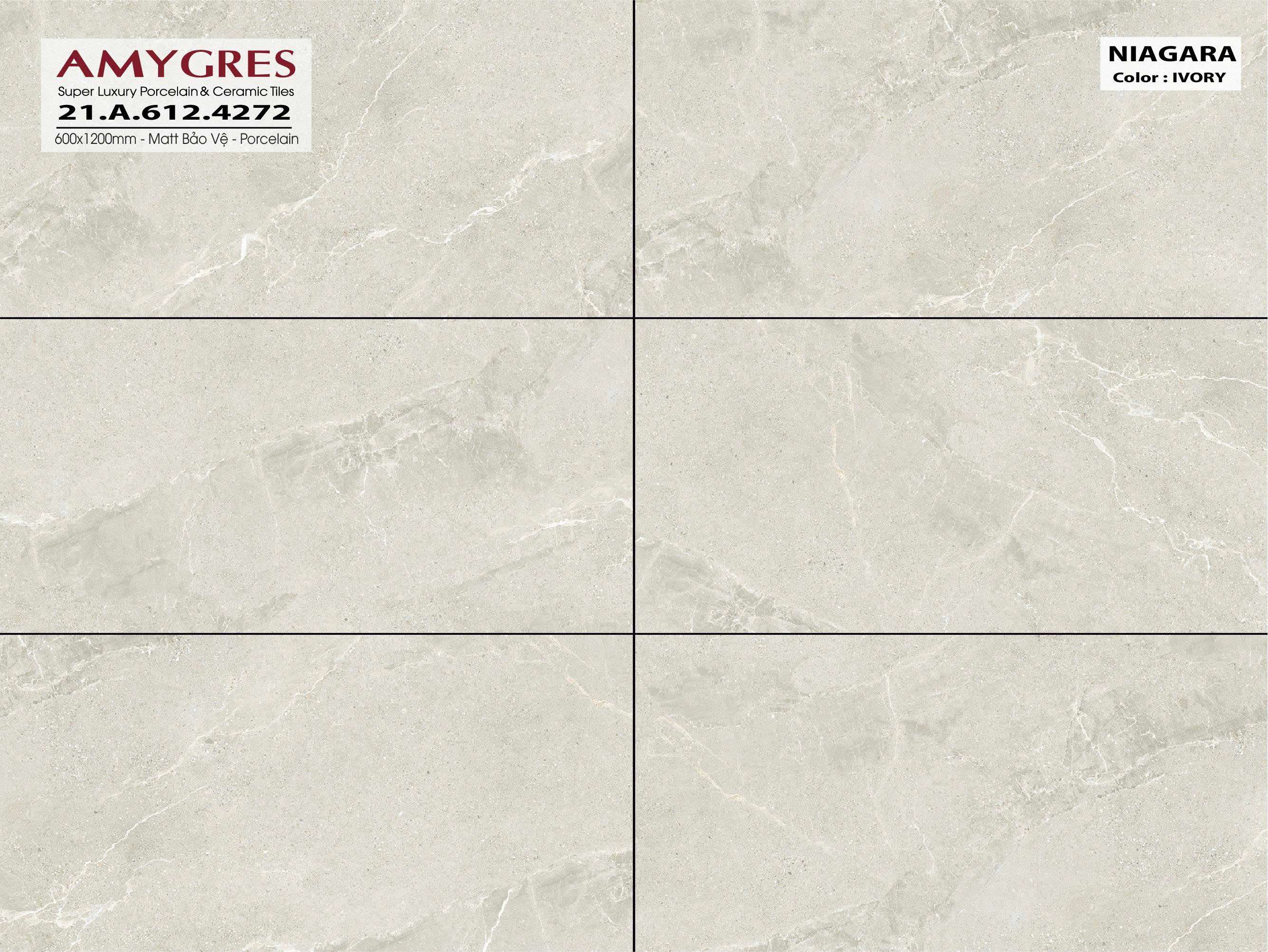 Niagara 21.A.612.4272