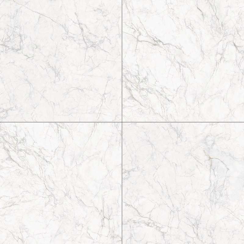 Carrara Neo 21.BE.106.0008.01
