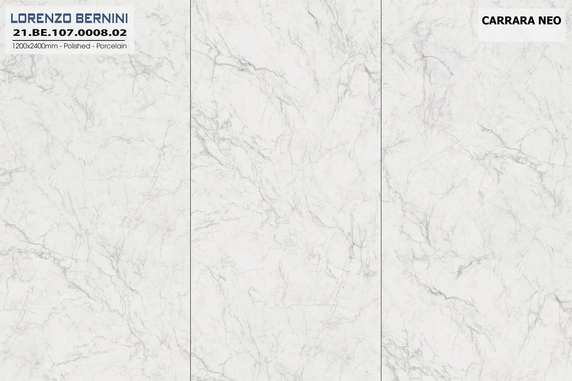 Carrara Neo 21.BE.107.0008.02