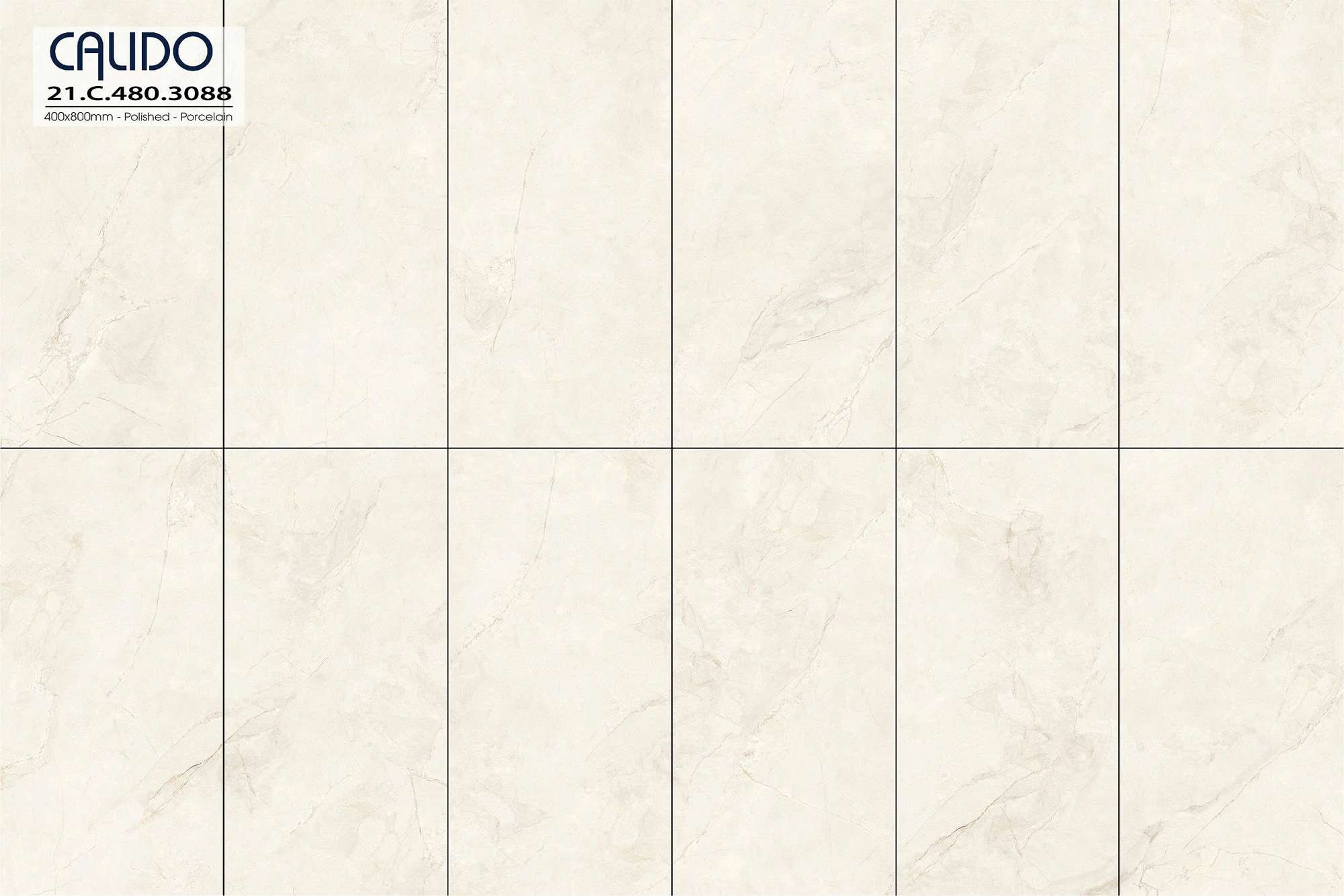 Solo 21.C.480.3088