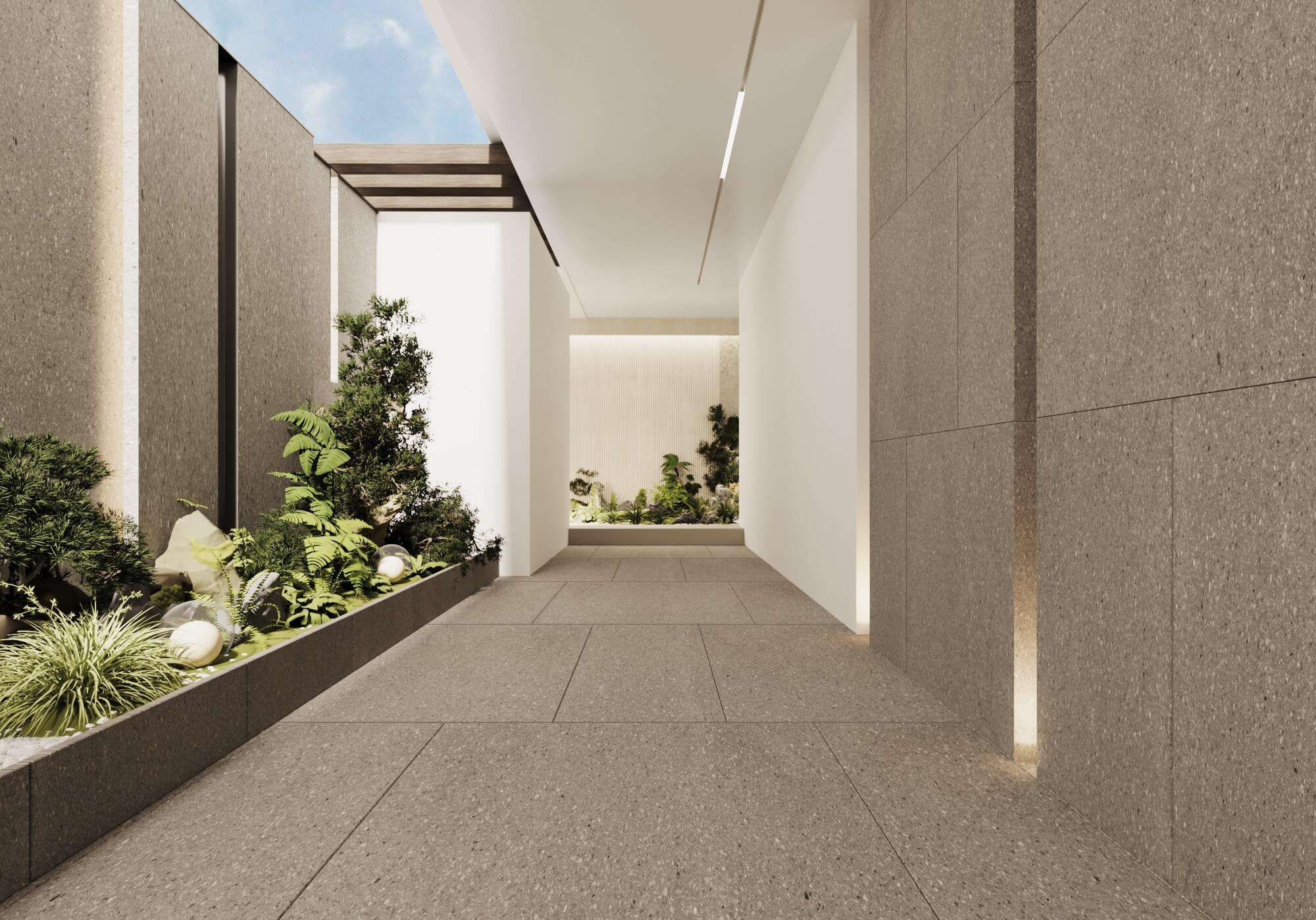 BỘ SƯU TẬP TERRA NOVA