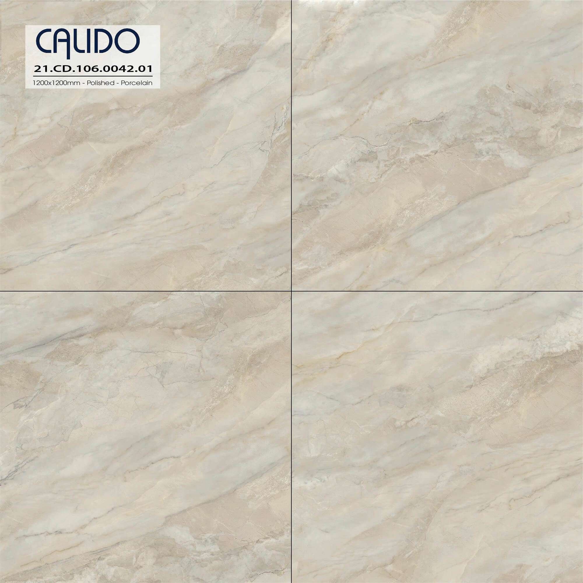 Solo 21.CD.106.0042.01 Solo 21.CD.106.0042.01