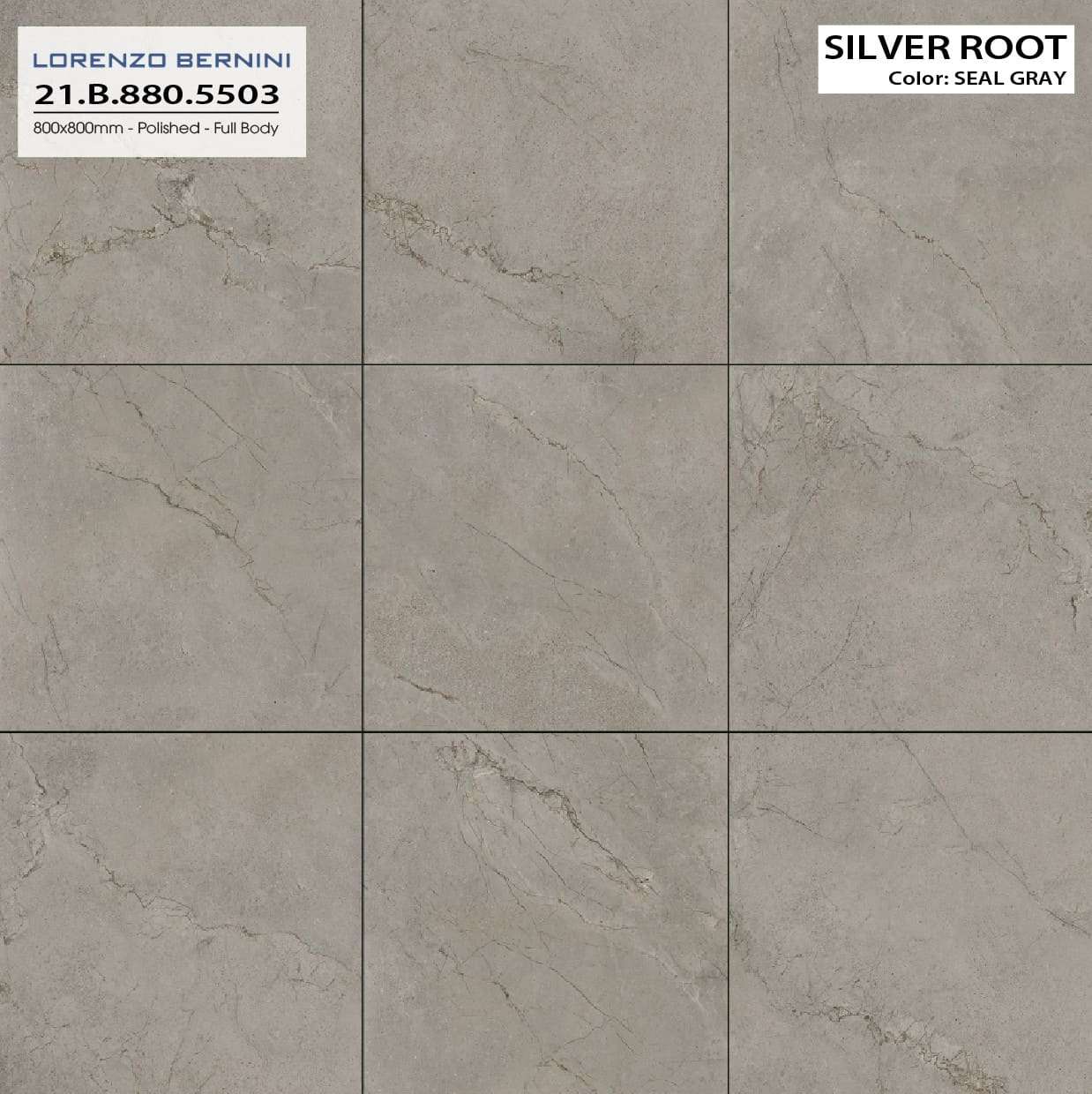 Silver Root 21.B.880.5503