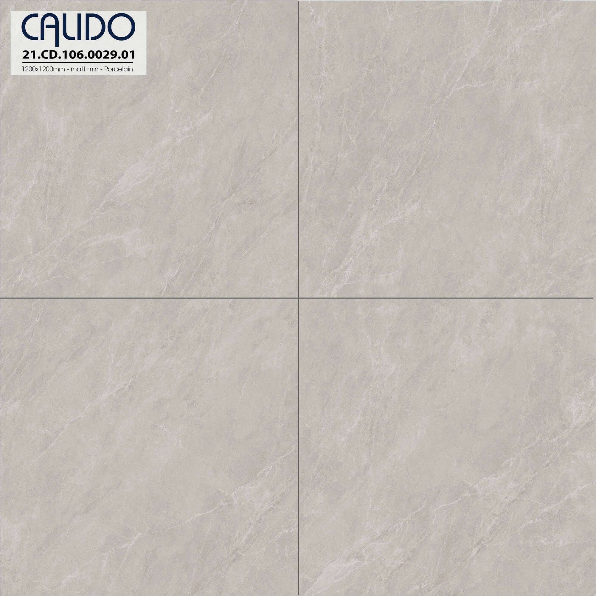Solo 21.CD.106.0029.01 Solo 21.CD.106.0029.01