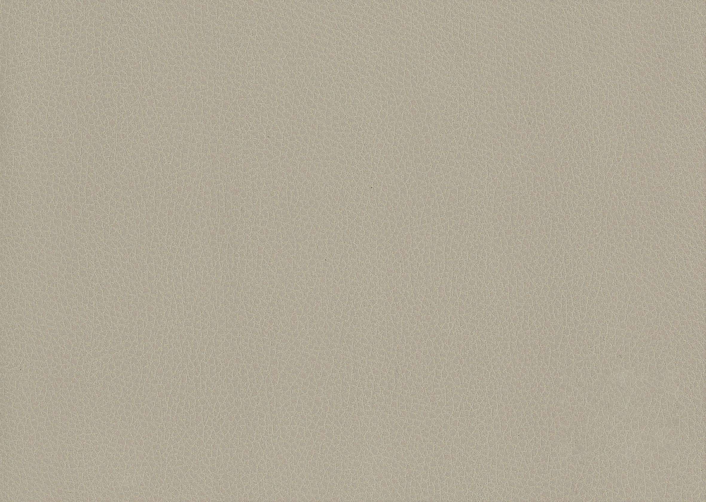 Desert Camel 32F.AD.080.0041.R.01